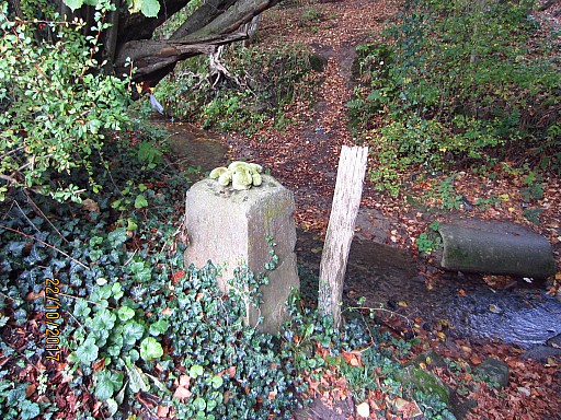 0151 Eef foto.jpg 0151 Eef foto.jpg