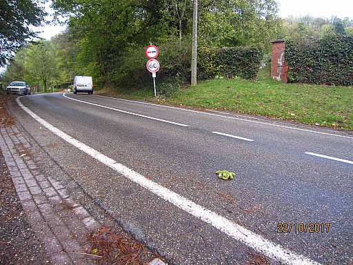 0173 Eef foto.jpg 0173 Eef foto.jpg