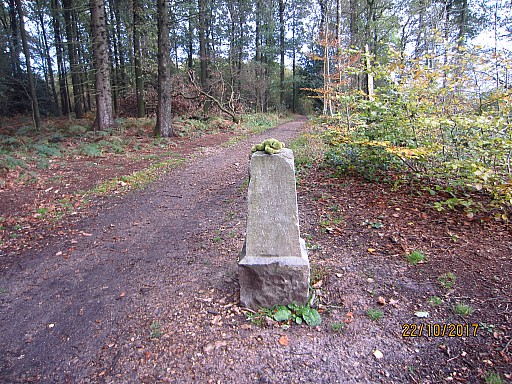 0178 Eef foto.jpg 0178 Eef foto.jpg