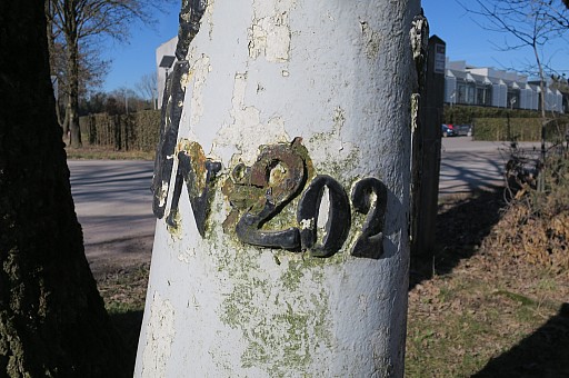 IMG_4108.jpg IMG_4108.jpg