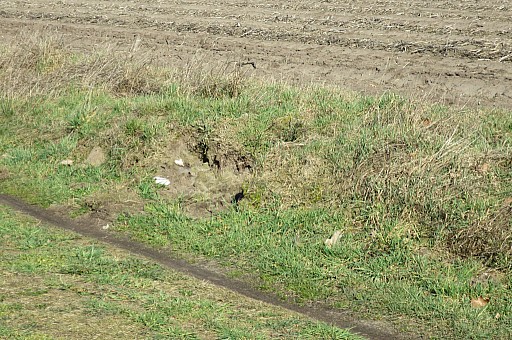 IMG_4127.jpg IMG_4127.jpg