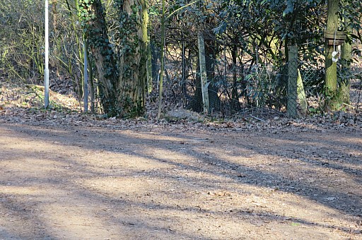 IMG_4143.jpg IMG_4143.jpg
