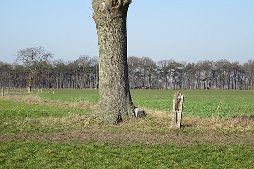 IMG_4213.jpg IMG_4213.jpg