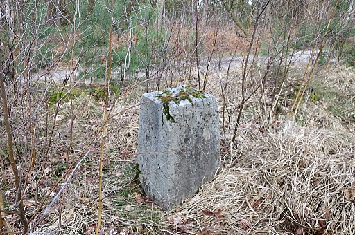 IMG_4303.jpg IMG_4303.jpg