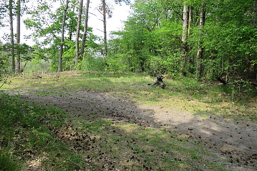 IMG_5528.jpg IMG_5528.jpg
