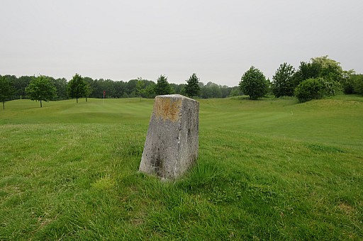 IMG_5564.jpg IMG_5564.jpg