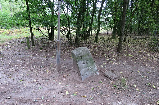 IMG_6408.jpg IMG_6408.jpg