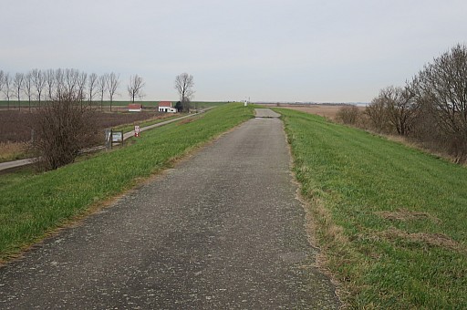 IMG_8359.jpg IMG_8359.jpg