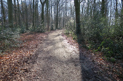 IMG_8537.jpg IMG_8537.jpg
