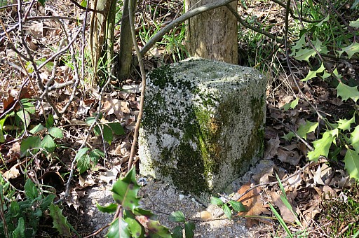 IMG_8758.jpg IMG_8758.jpg