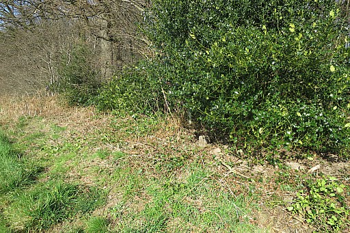 IMG_8801.jpg IMG_8801.jpg