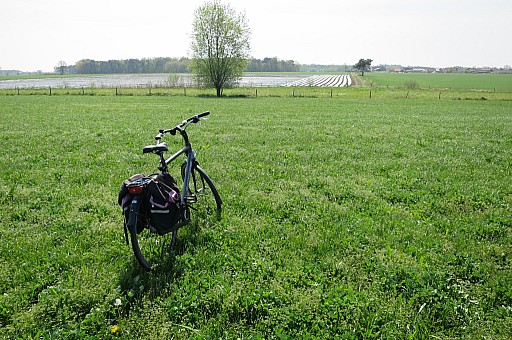 IMG_9160.jpg IMG_9160.jpg