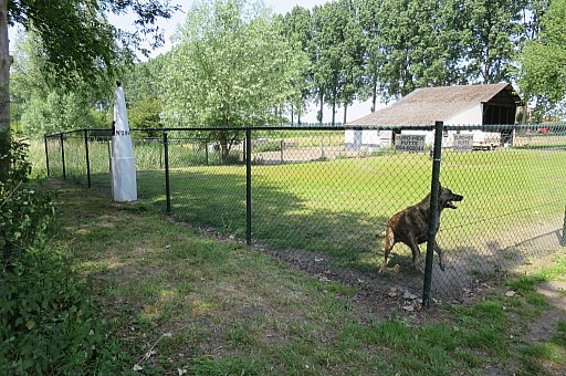 IMG_9607.jpg IMG_9607.jpg