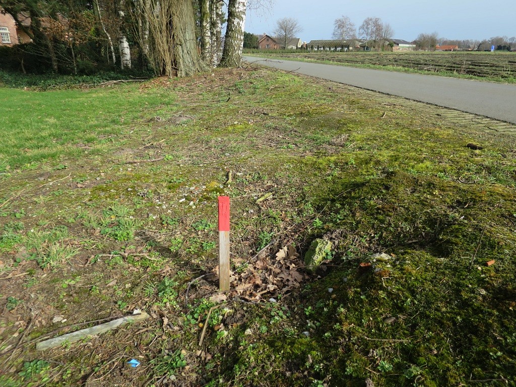 236-IMG_3706.jpg