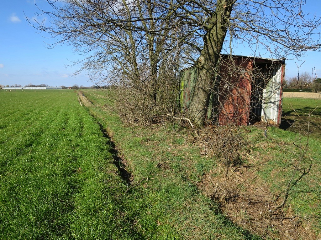 171-IMG_3799.jpg