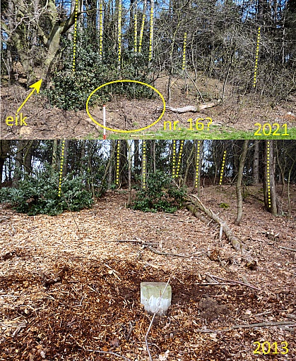 376-Positie nr16 vergeleken op 2 foto's.jpg 376-Positie nr16 vergeleken op 2 foto's.jpg