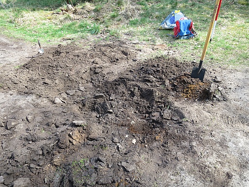 IMG_4468.jpg IMG_4468.jpg