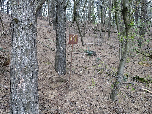 IMG_4546.jpg IMG_4546.jpg